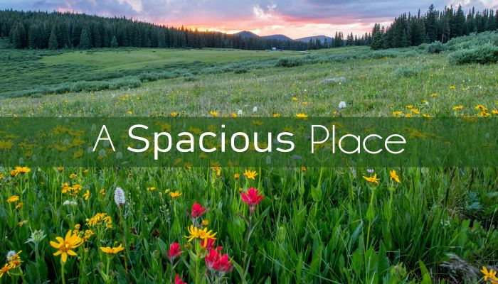 A Spacious Place